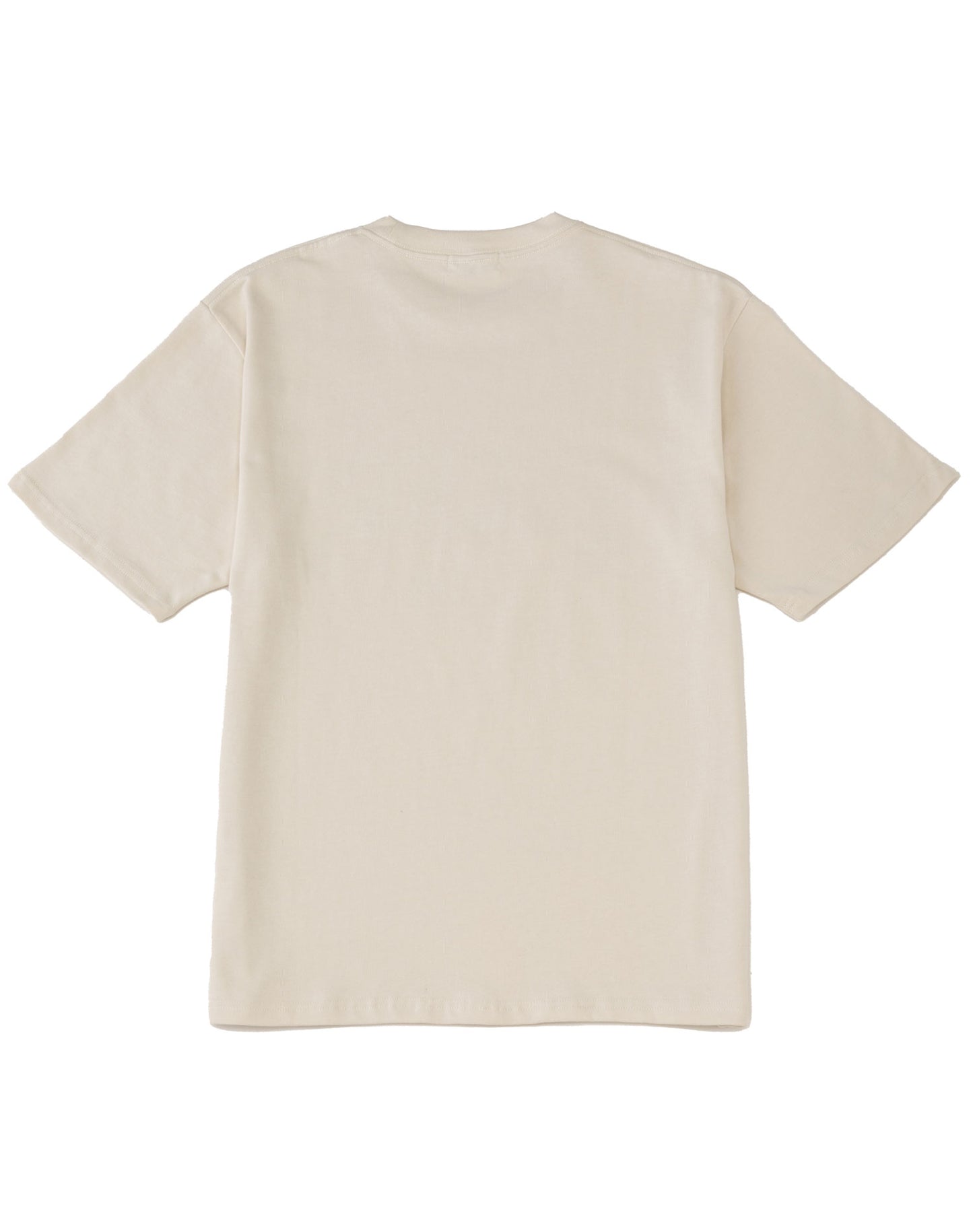 カレッジ T-shirt/White